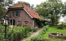 Zeilende kraay